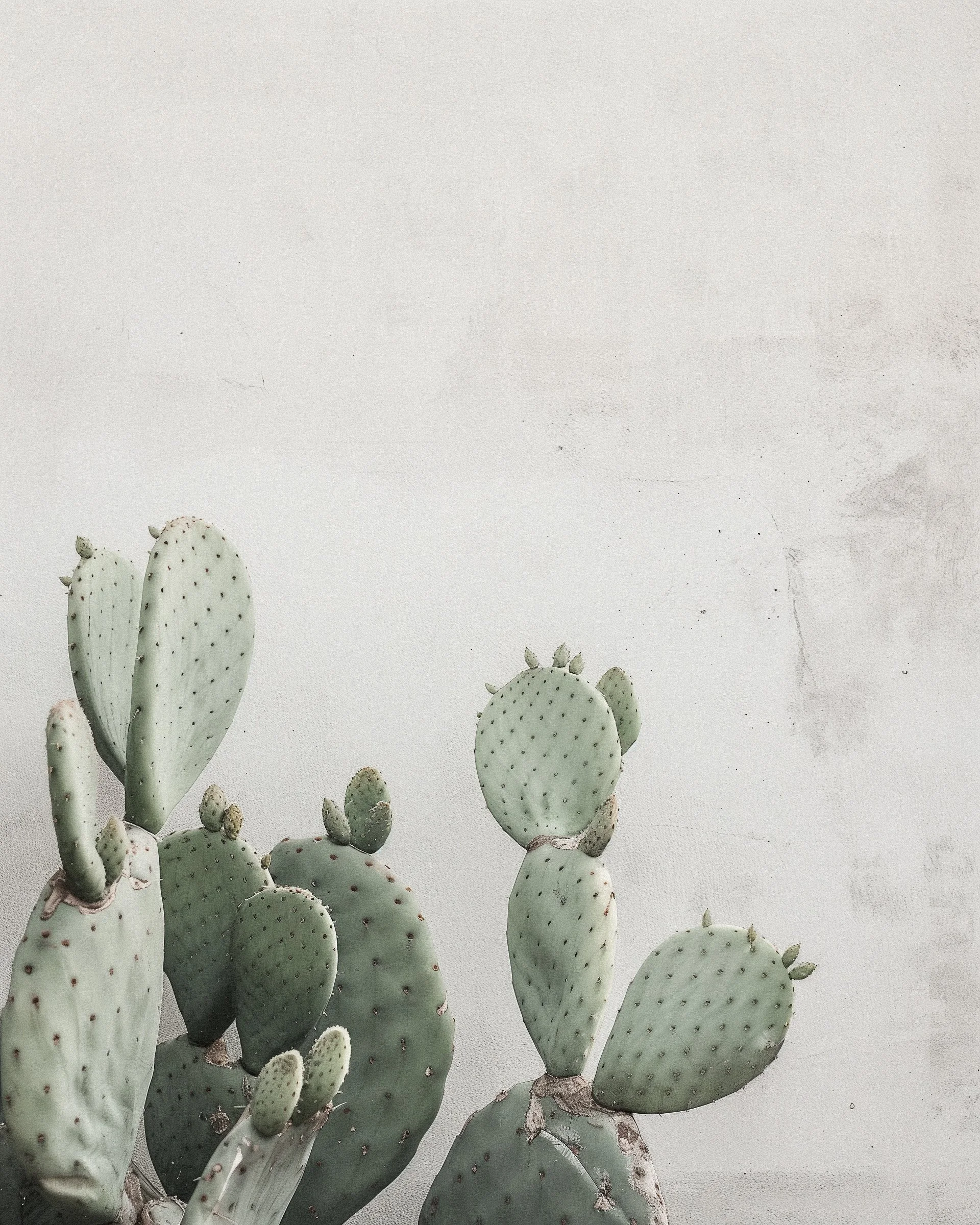 Dr. Herel with patient